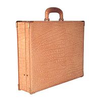 Side view of pale textured buffalo leather briefcase with brass corner guards and darkened leather handle.