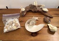 Photo showing a variety of sea shells including a large white nautilus shell, spotted cowrie shell, smaller shells inside a plastic bag, and three wooden pelican figurines attached to a piece of driftwood.