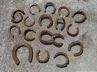 19 old rusted horseshoes of various sizes laid out on concrete ground
