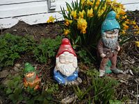 Three garden gnomes on garden soil with yellow flowers in the background; shows overall condition and relative size