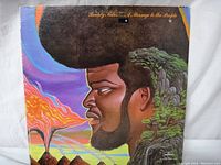 Front cover of Buddy Miles "A Message to the People" 1971 vinyl LP showing colorful psychedelic profile portrait artwork.