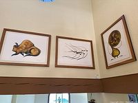 Three framed prints hung on wall, showing overall size and framing