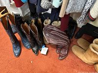 Overview of all items: western boots, UGG boots, ankle boots and purse on carpet