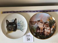Front view of two cat collector plates with measuring tape showing size approx. 8-9 inches diameter.