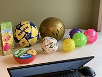 Full view of the lot showing three soccer balls, four textured balls, the treat bowl, and the puzzle box.