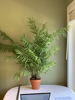 Front view of large faux fern plant in terracotta pot showing full spread of fronds against wall.