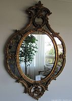 Front view of entire mirror showing oval shape and frame design