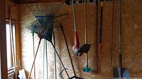 Corner of shed wall showing hanging rakes and string trimmer