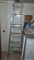 Full view of the aluminum step ladder showing the entire height and condition with visible paint stains.