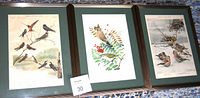 Three framed bird prints side by side on a patterned surface, showing full view of artworks and frames