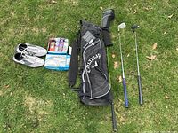 Overhead shot of entire lot showing bag, clubs, shoes, and golf balls