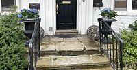 Front view of stone steps flanked by two black cast iron urn planters with blue flowers.