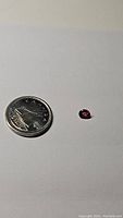 Close up photo of a small oval pink red sapphire next to a coin for size reference on white background.