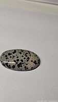 Oval Dalmatian jasper cabochon with black spots on beige-gray background, polished surface.