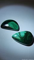 Two polished fancy cut malachite stones with smooth surfaces and natural banding patterns.