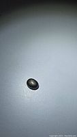 Oval cabochon black star sapphire gemstone with visible star asterism on surface.