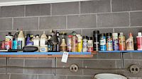 Shelf displaying various automotive care products including aerosol spray cans and bottles of lubricants, cleaners and adhesives.