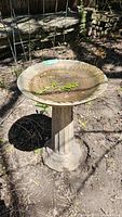 View of concrete bird bath outdoors, showing top basin with textured pattern and green plant debris on its surface.
