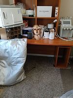 Facial steamer, LED light face mask, and multifuction spa devices on table, sauna blanket bag on floor