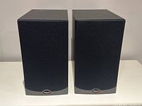 Front view of both speakers with grilles in place, confirming speaker shape and grille condition.