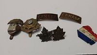 Overview of six military pins and one ribbon including two Canada shoulder titles, a helmet badge, a Yorkshire bugle badge, and a tricolor ribbon.
