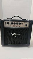 Front view of Robson guitar amplifier showing brand logo and overall design