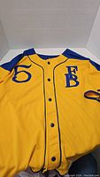 Yellow and blue FUBU jersey showing front with blue button snaps, number '5' on right chest, 'FB' lettering on left chest.