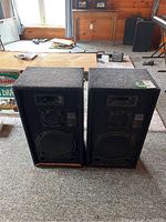Pair of two black fabric covered speaker cabinets side-by-side on carpeted floor indoors.