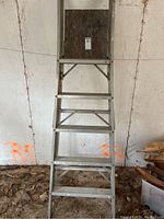 Front view of aluminum painter's ladder showing wide steps and top platform for tools.