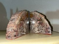 Two Arizona petrified wood bookends shown facing each other with polished flat sides visible, highlighting the internal coloration and texture.