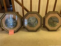 Photo showing all three octagonal framed bird plates side by side against a staircase background.