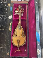 Full view of lute inside open hard case alongside bow and spare strings