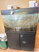Front view of aquarium showing heavy algae and mineral residue inside glass panels and black stand base.