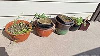 Five ceramic planters arranged on patio concrete floor, showing variety in color, size, and condition including dirt and plants.