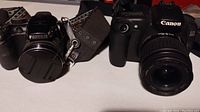 Both cameras shown side by side, Canon EOS 20D with zoom lens on right, Fujifilm Finepix on left.