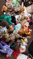 Photo showing the majority of the Beanie Babies collection laid out on carpet with many characters identifiable including Claud, Mac, Spunky, and Cargo.