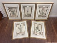 All five framed botanical prints arranged in two rows on wood floor