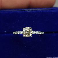 Front view of ring centered on blue velvet background