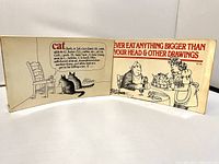 Both books open to front covers showing title and front cartoon art