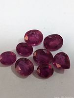 Eight loose genuine ruby gemstones arranged on a white background showing color and inclusions