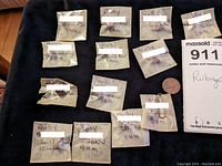 Photo of 14 small plastic bags each containing a single ruby cabochon with handwritten labels indicating carat weight and size in millimeters, placed next to a coin for size reference.