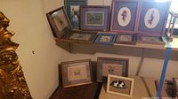 Photo of 12 framed bird artworks arranged on shelves and walls in a basement room.