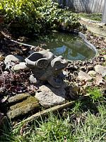 Concrete frog garden figure positioned near a small outdoor pond, surrounded by natural rock and grass.