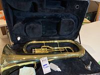 Full view of baritone horn seated in hard case showing accessories