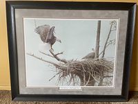 Front view of framed print showing Bald Eagle landing on nest with eaglets