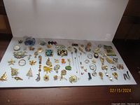 Overview of all pins displayed on a surface showing a large assortment of costume jewelry pins including floral, animal, and abstract designs.