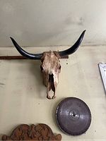 Frontal photo of a mounted bull skull with attached long, dark curved horns, set against a plain wall above a carved wooden headboard and near a round metal object.