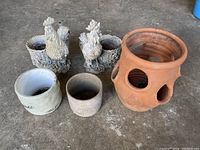 All five pots shown together from a front angle on concrete floor. Two rooster pots in back row, terracotta strawberry pot, and two plain ceramic pots in front row.