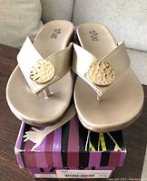 Front view of both new Taxi women's sandals on box showing gold thong strap and textured gold medallion decoration.