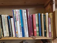 Shelf of assorted books including titles like 'Educational Research,' 'Super Teaching,' and 'The Birds Around Us'